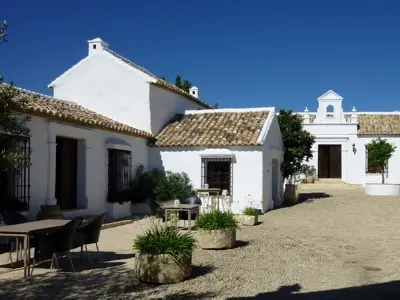 Excursión a una ganadería de Toros Bravos