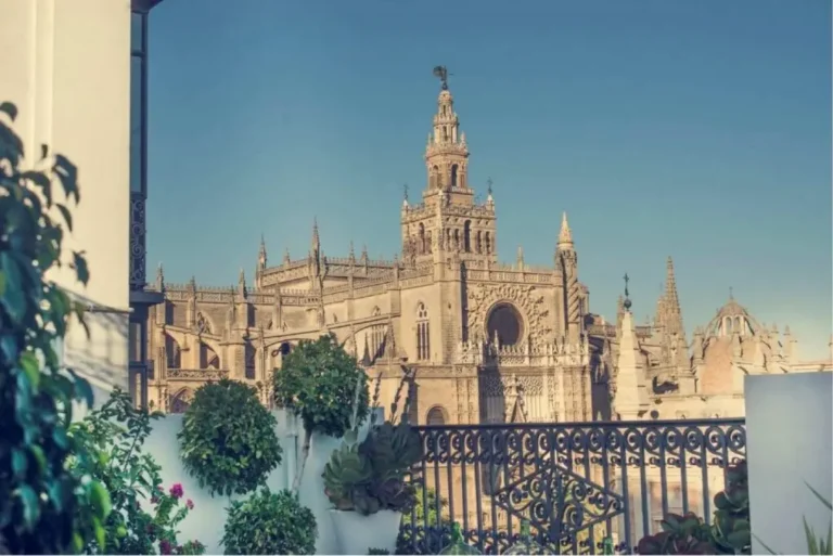 degustación de aceite de oliva virgen extra en sevilla