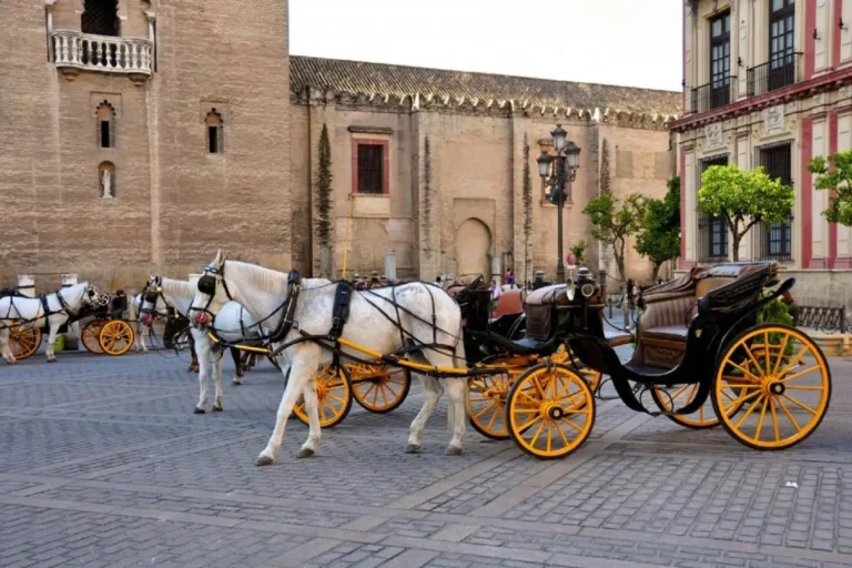 Tour en coche de caballos en Sevilla
