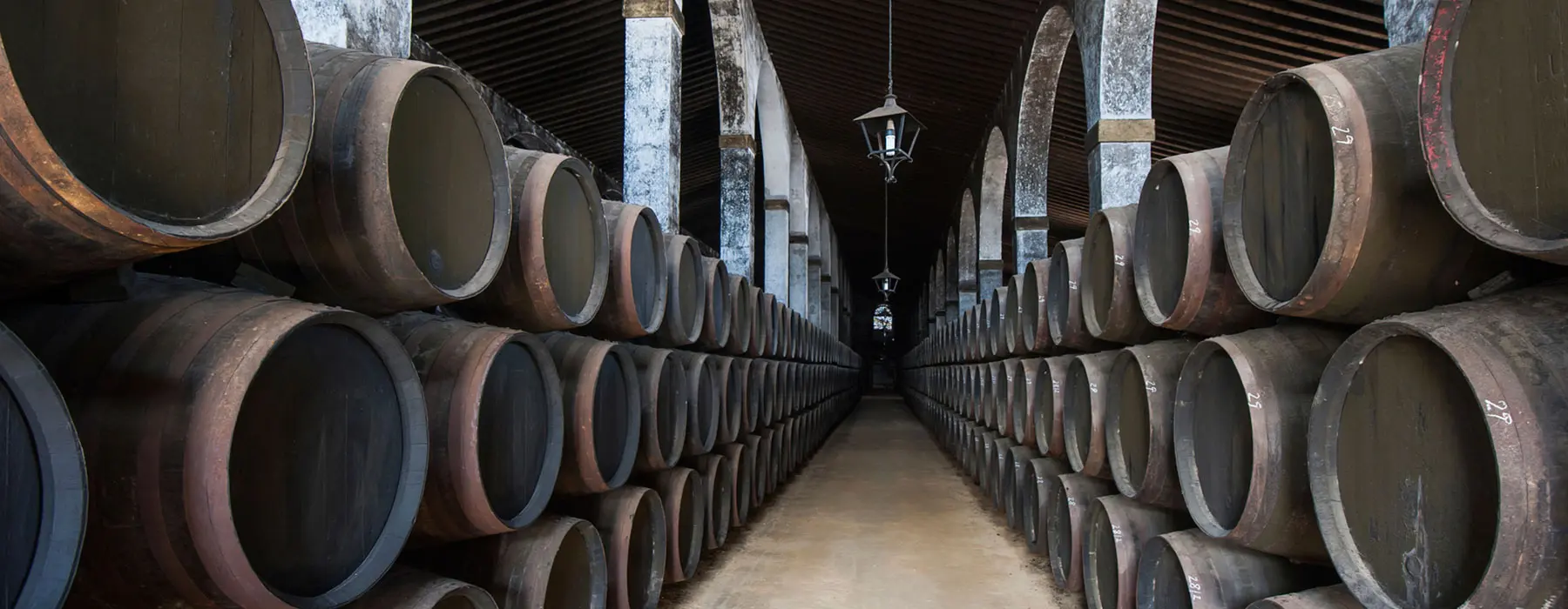 Excursión privada a Jerez desde Sevilla