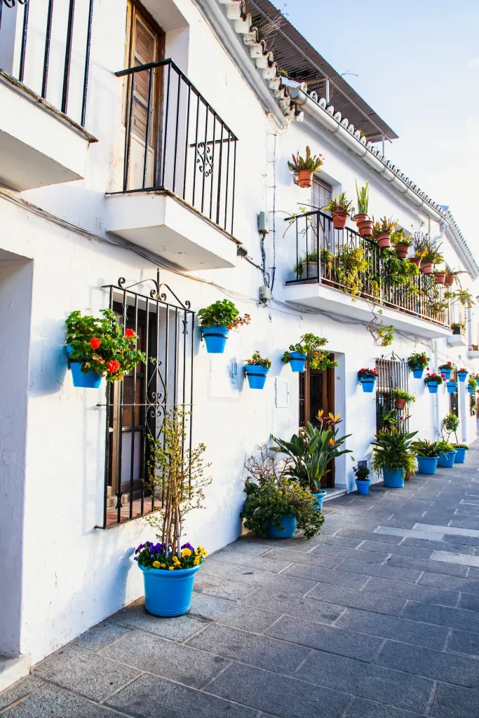 Excursión a los Pueblos Blancos de Andalucía: arquitectura tradicional con paredes blancas y macetas azules, una visita guiada esencial desde Sevilla.